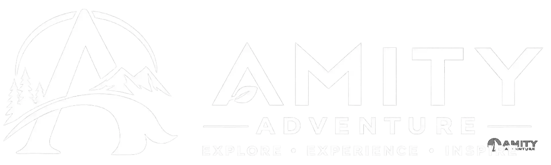 Amity Adventure | Cape Town Tours