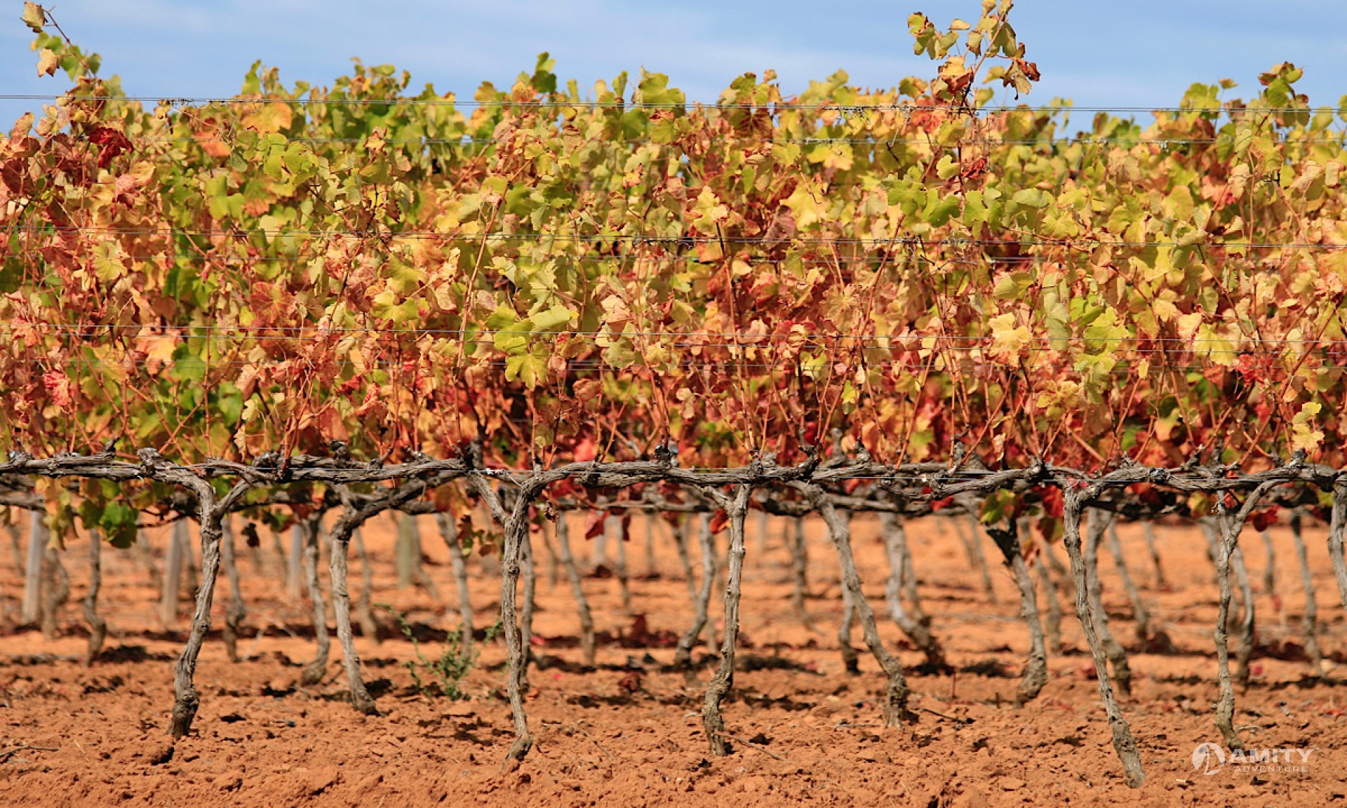 Cape Winelands Tours – Stellenbosch & Franschhoek