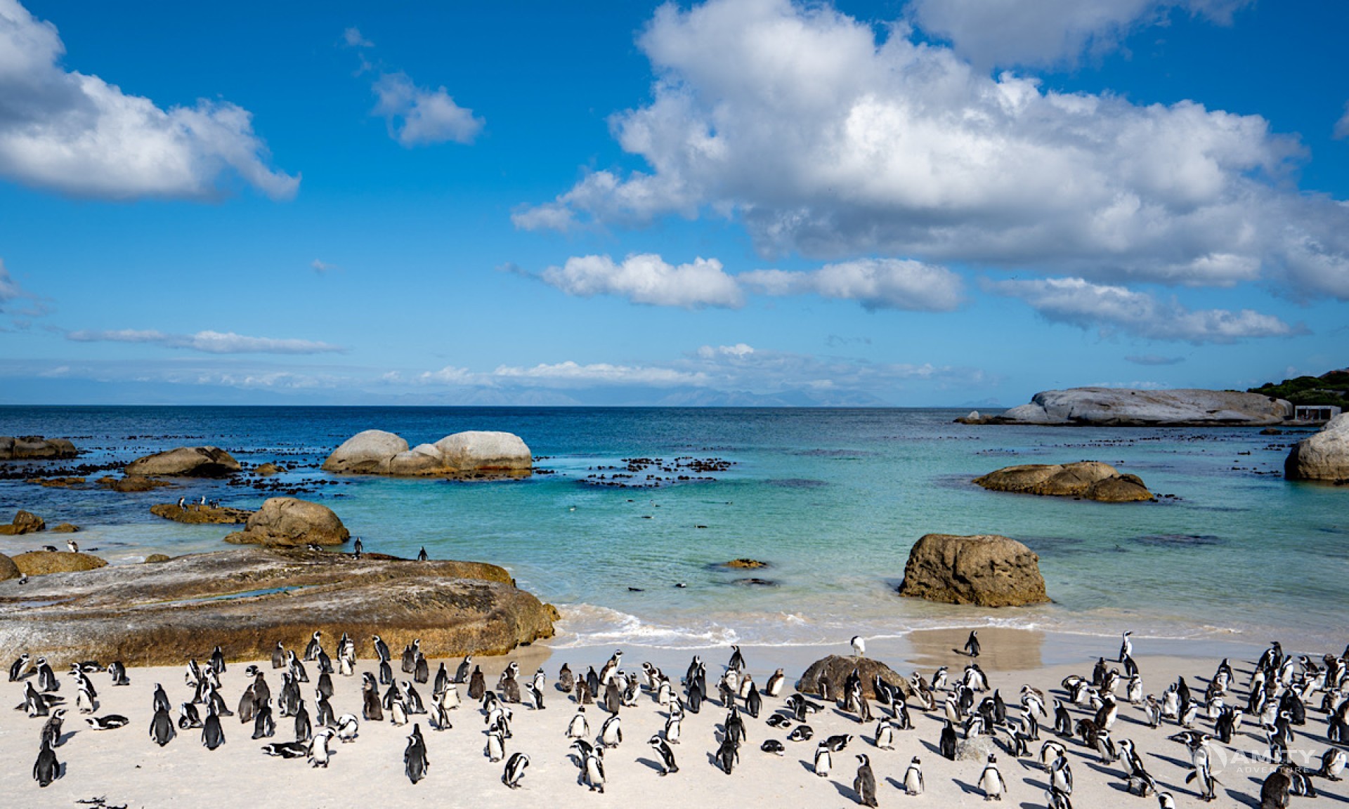 Cape Peninsula Tours – Cape Point & Penguins