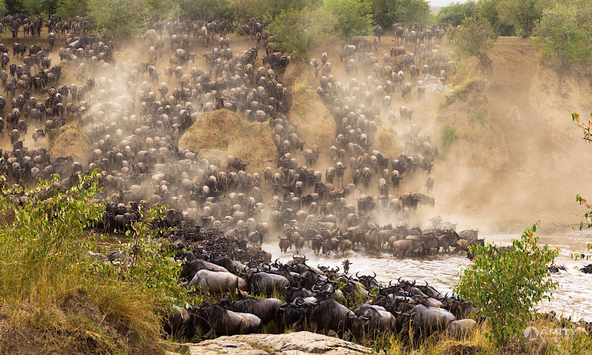 Kenya & Tanzania Safaris