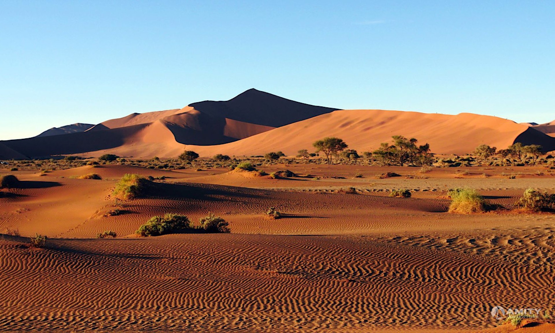 Namibia Desert & Etosha Safaris