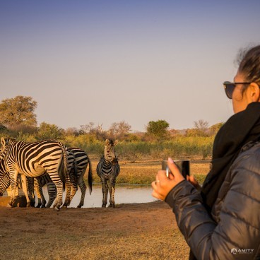 Botswana, Victoria Falls & Zimbabwe Safaris