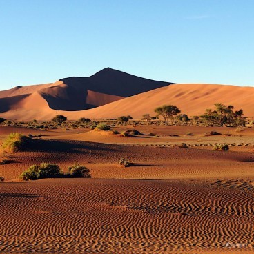 Namibia Desert & Etosha Safaris